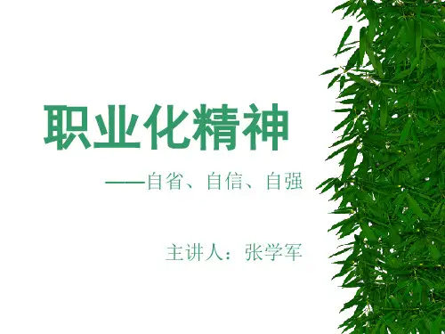 职业化精神培训课件