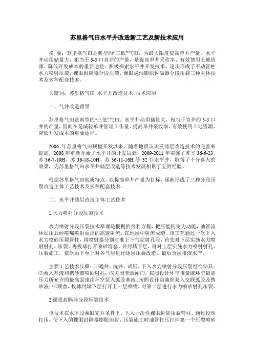 苏里格气田水平井改造新工艺及新技术应用