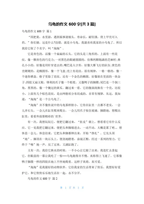 乌龟的作文600字[共3篇]