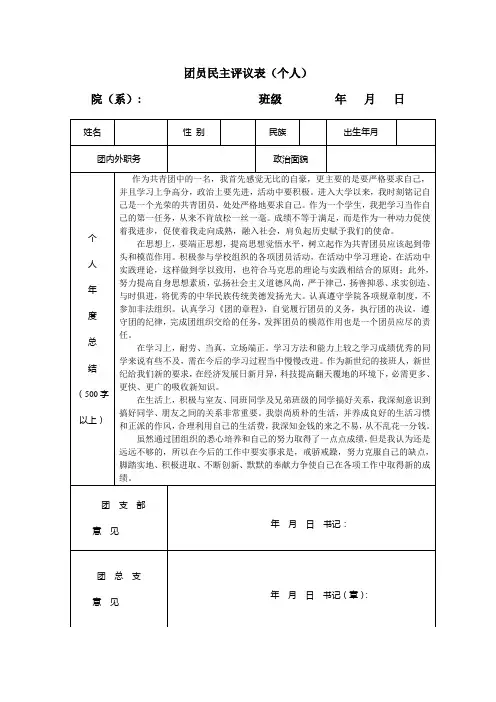 团员民主评议表