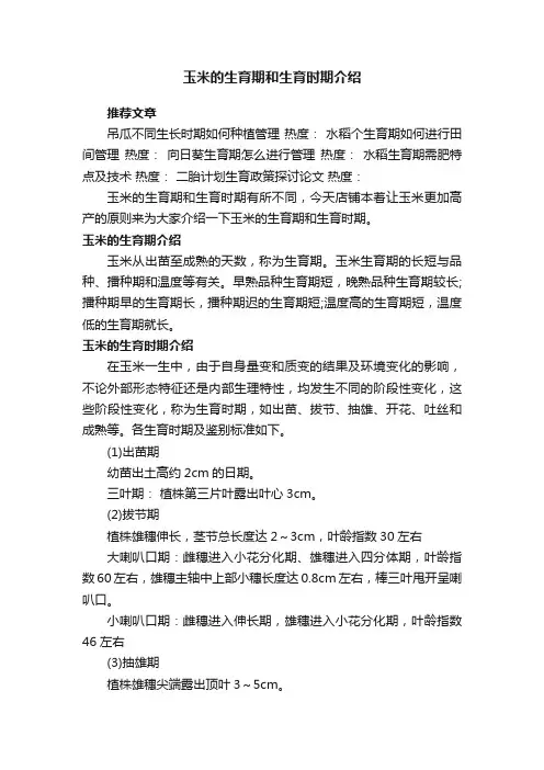 玉米的生育期和生育时期介绍