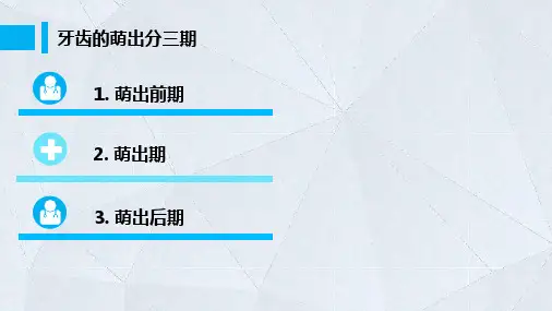 83牙的萌出与替换