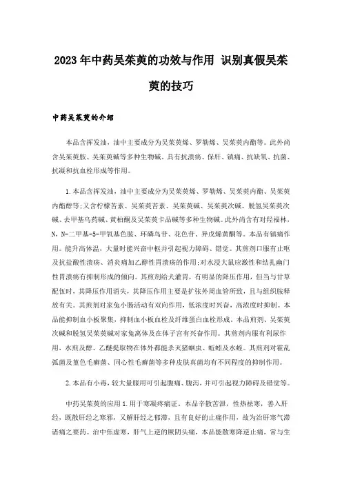 2023年中药吴茱萸的功效与作用 识别真假吴茱萸的技巧