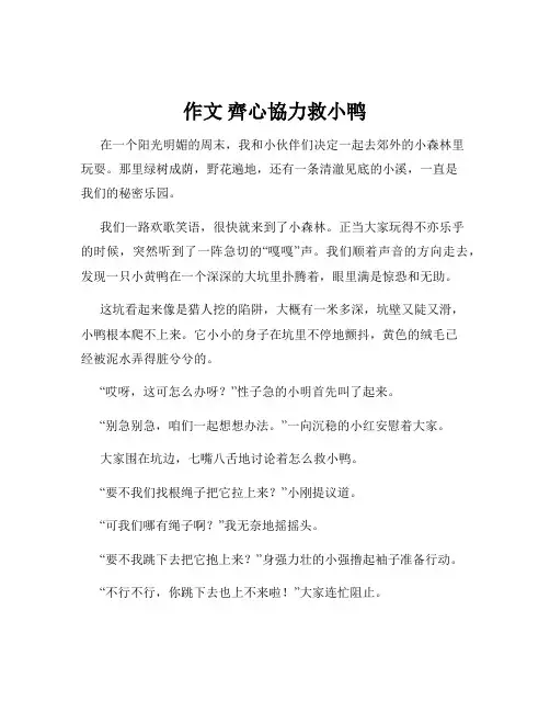 作文 齐心协力救小鸭
