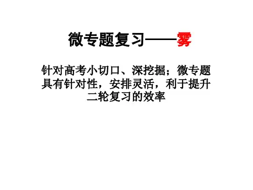 微专题复习——雾