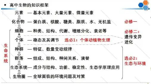 【课件】2024届一轮复习 第一单元第1课时 走近细胞