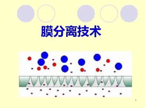 第五章 膜分离技术 反渗透,熔盐电解,膜分离