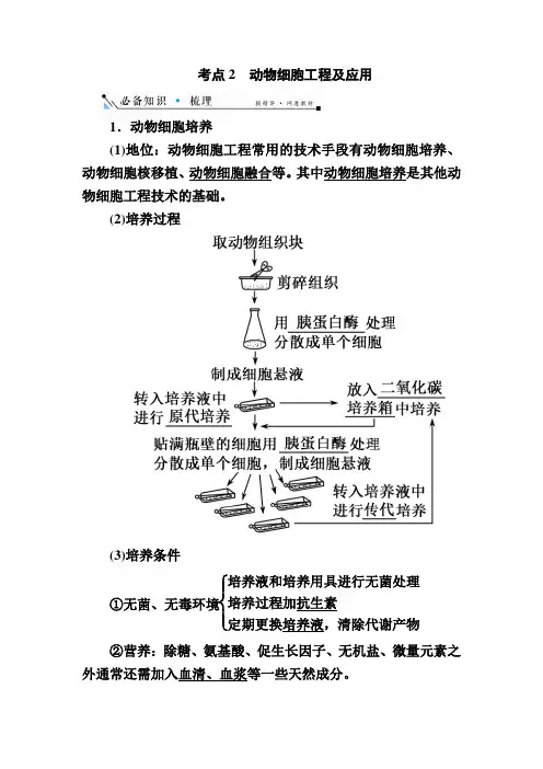 新高考一轮复习人教版动物细胞工程及应用教案