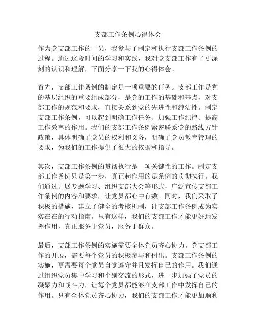 支部工作条例心得体会