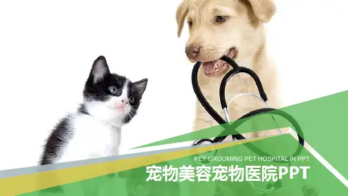宠物美容宠物医院模板.pptx