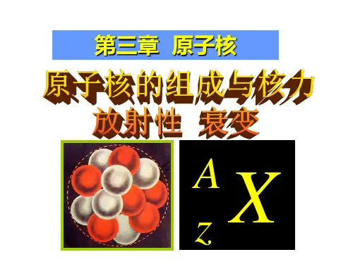 原子核的组成-放射性和衰变