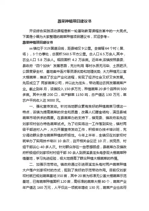 蔬菜种植项目建议书