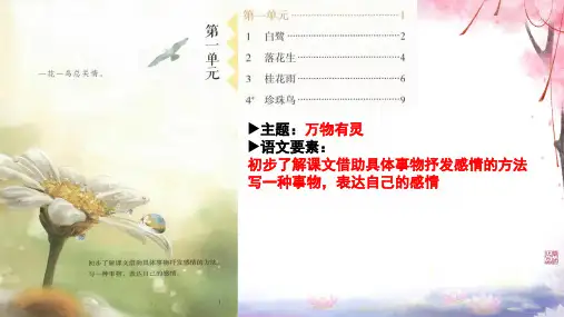 白鹭ppt课件