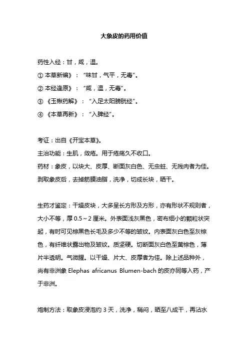 大象皮的药用价值