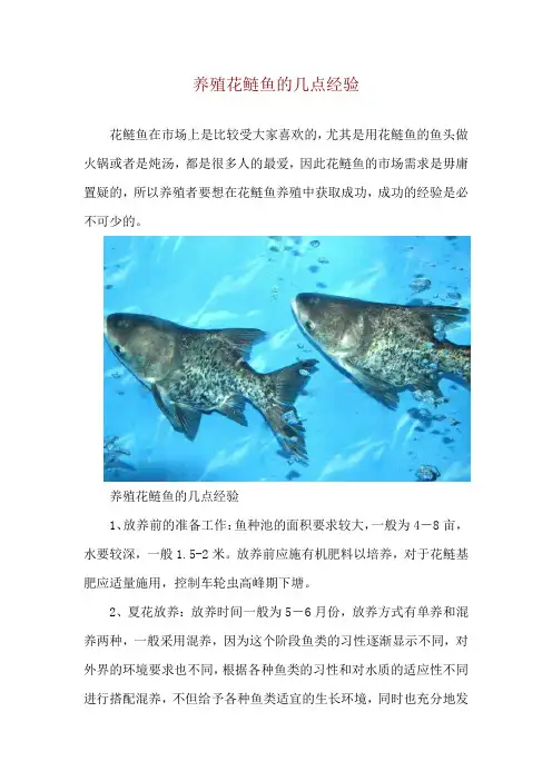 养殖花鲢鱼的几点经验