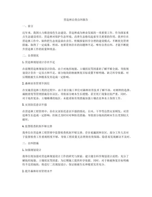 营造林自查自纠报告