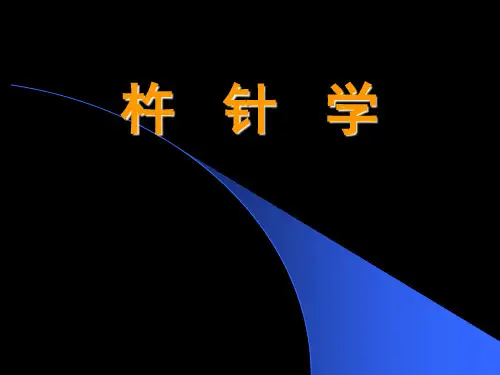 杵针 -第二章