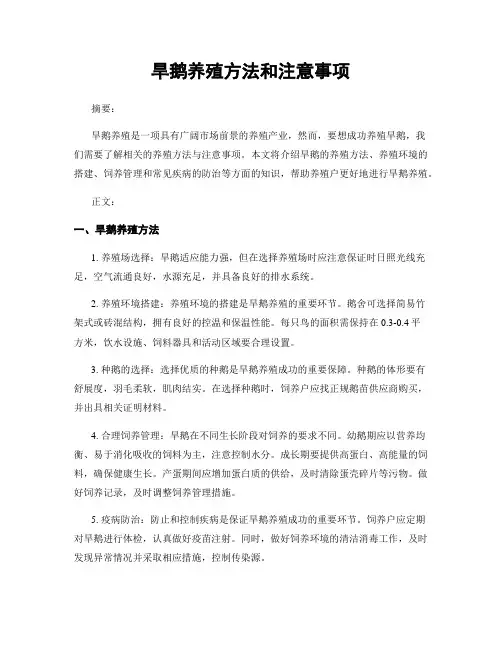旱鹅养殖方法和注意事项