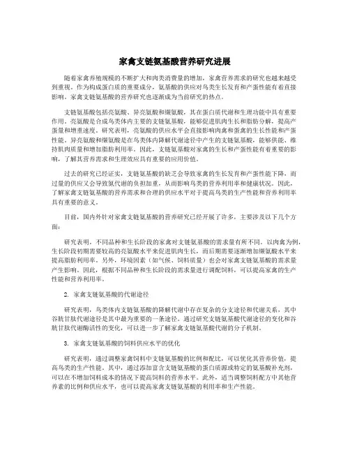 家禽支链氨基酸营养研究进展