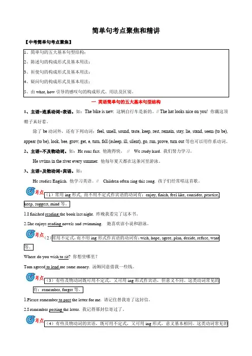 专题13.简单句考点聚焦和精讲中考英语语法复习