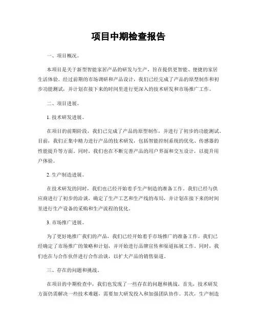 项目中期检查报告