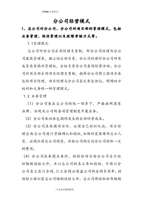 分公司经营模式