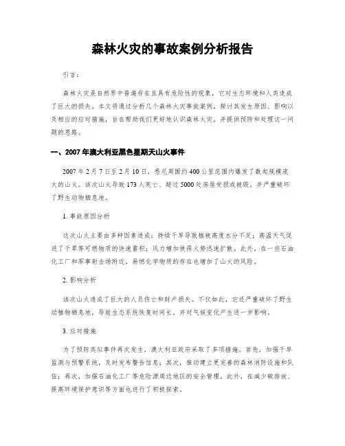 森林火灾的事故案例分析报告