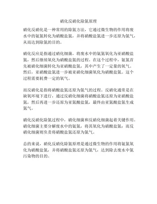 硝化反硝化除氮原理