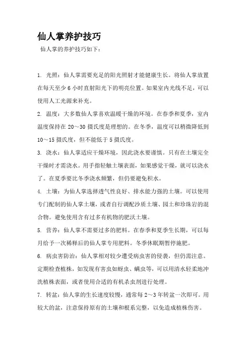 仙人掌养护技巧