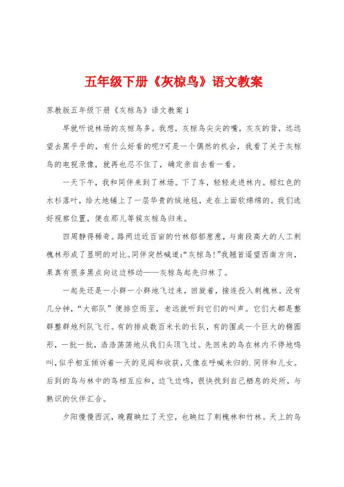 五年级下册《灰椋鸟》语文教案