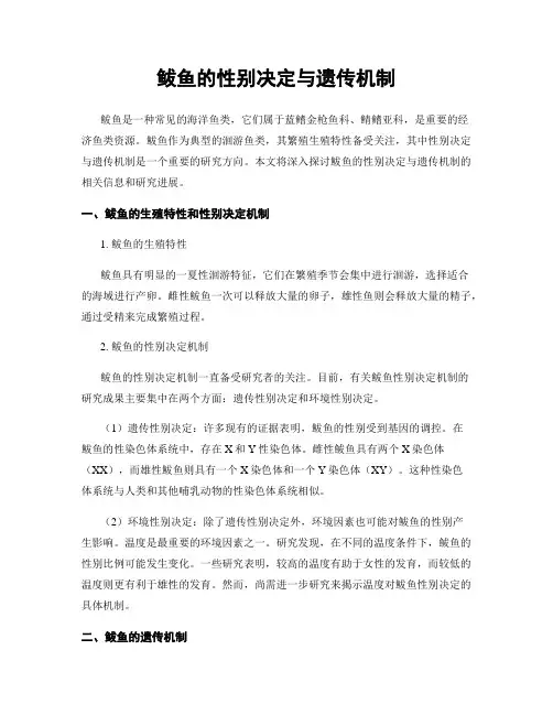 鲅鱼的性别决定与遗传机制