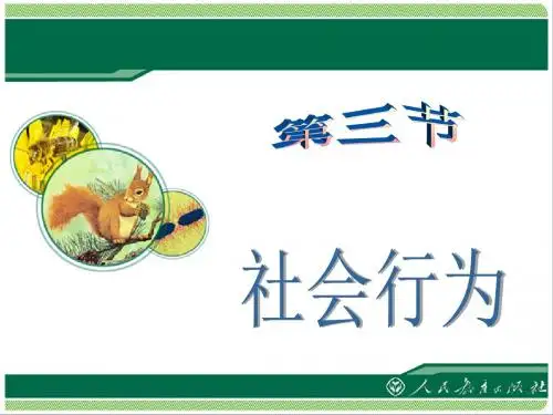 八年级生物上册 第二章 第三节 社会行为