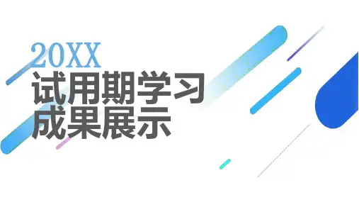 试用期学习成果展示