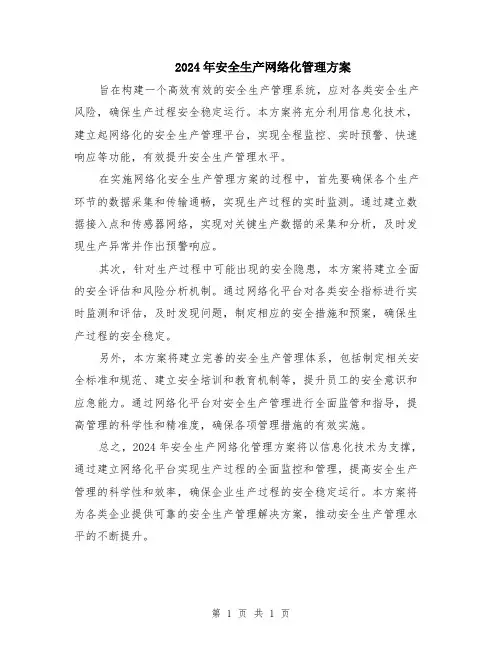 2024年安全生产网络化管理方案