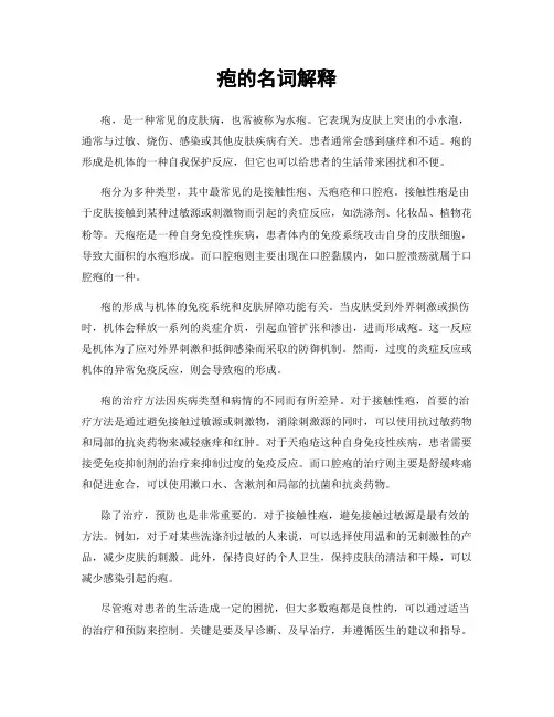疱的名词解释