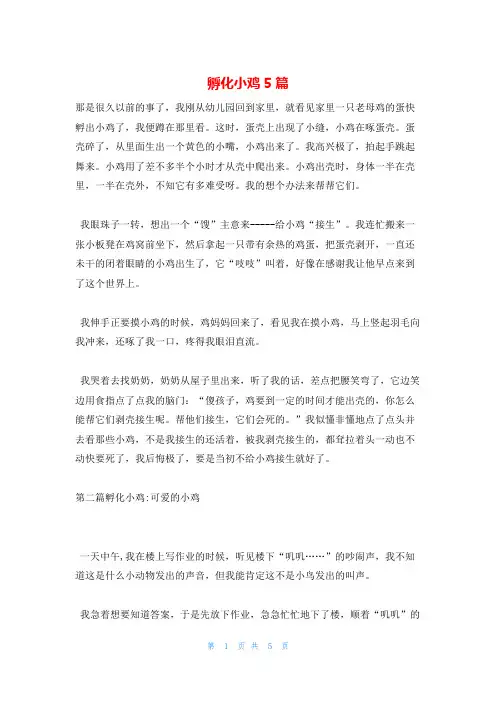 孵化小鸡5篇