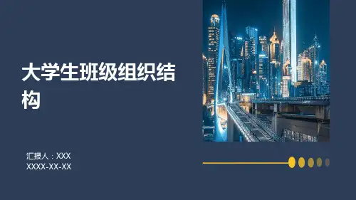 大学生班级组织结构