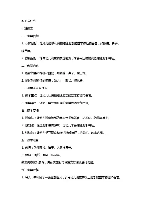 脸上有什么中班教案