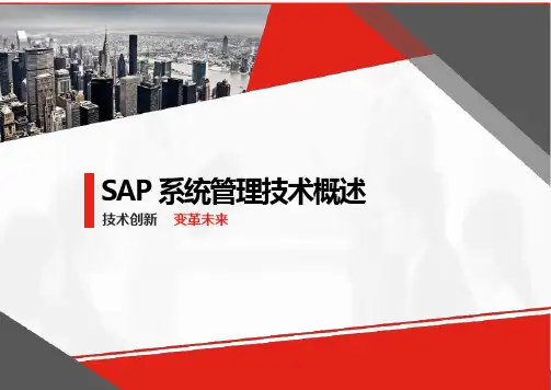 SAP系统管理技术概述