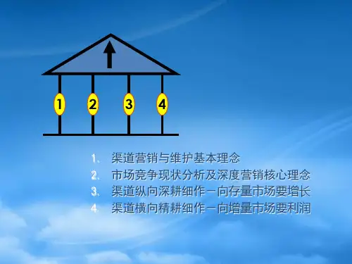 渠道深度营销