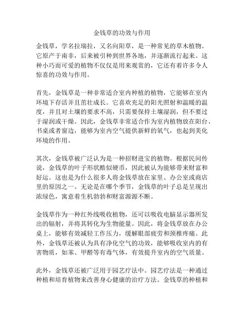 金钱草的功效与作用