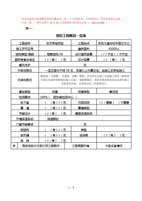 项目概况表样表