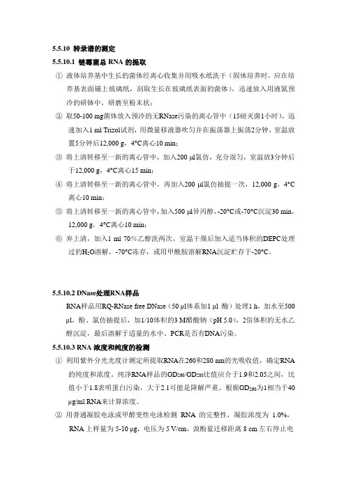 链霉菌RNA提取