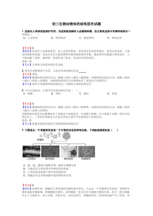 初三生物动物体的结构层次试题
