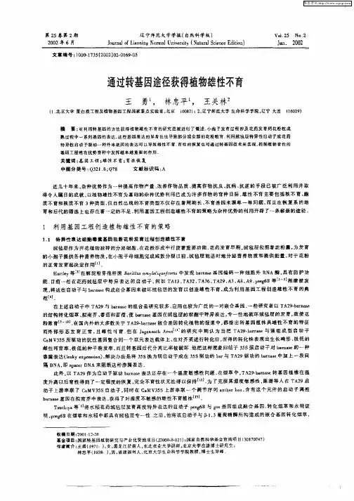 通过转基因途径获得植物雄性不育
