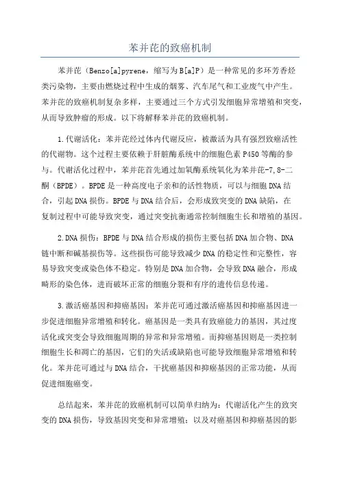 苯并芘的致癌机制