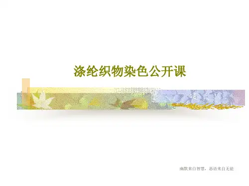 涤纶织物染色公开课24页PPT