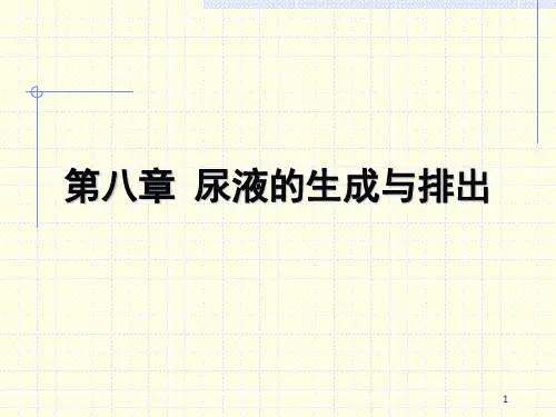 尿液的生成与排出