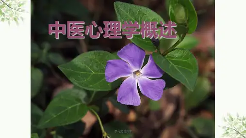 中医心理学概述ppt课件