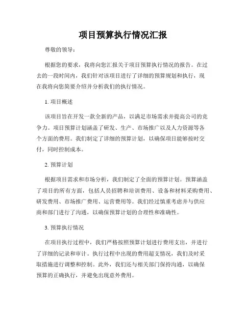 项目预算执行情况汇报